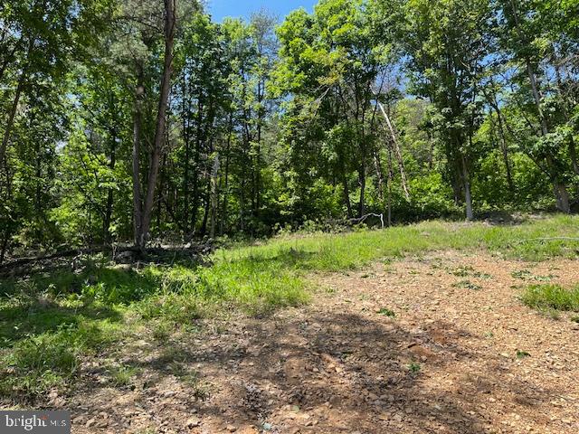 BLUFFS OF THE POTOMAC - Land