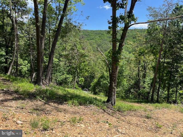 BLUFFS OF THE POTOMAC - Land