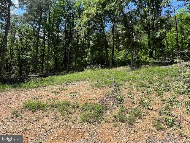 BLUFFS OF THE POTOMAC - Land