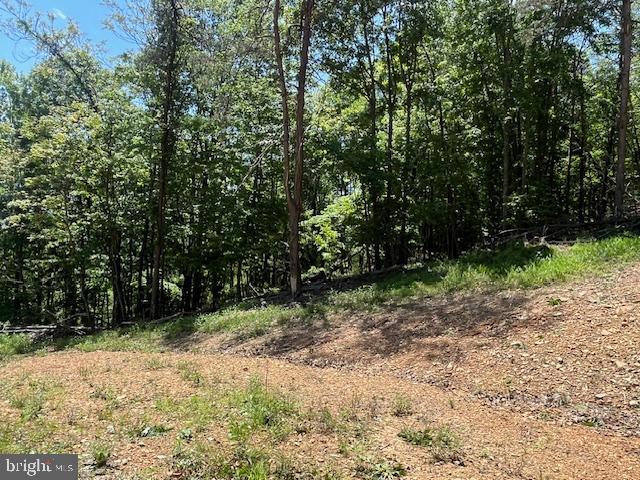 BLUFFS OF THE POTOMAC - Land