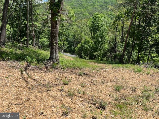 BLUFFS OF THE POTOMAC - Land