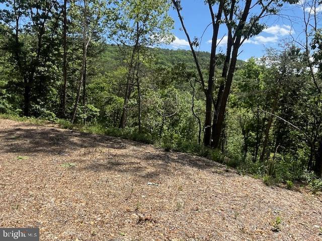 BLUFFS OF THE POTOMAC - Land