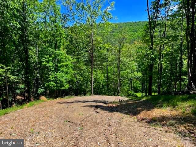 BLUFFS OF THE POTOMAC - Land