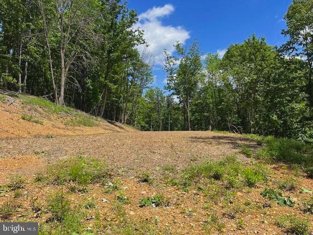 BLUFFS OF THE POTOMAC - Land