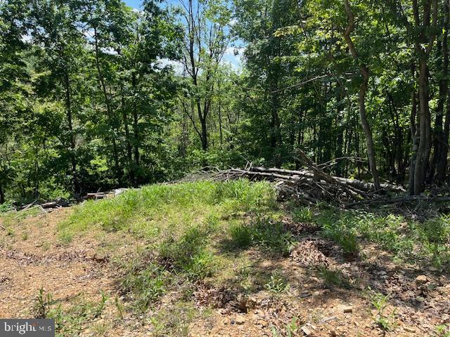 BLUFFS OF THE POTOMAC - Land