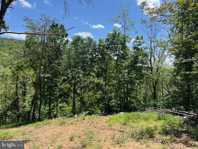 BLUFFS OF THE POTOMAC - Land