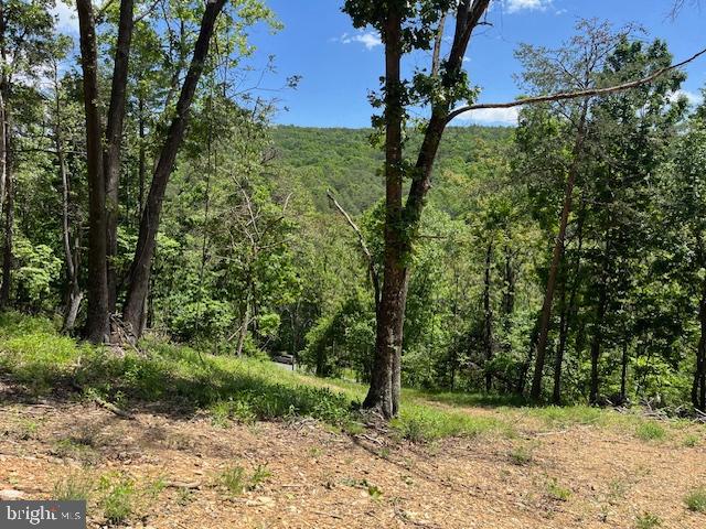 BLUFFS OF THE POTOMAC - Land