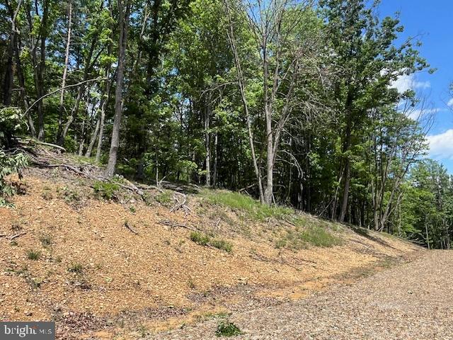 BLUFFS OF THE POTOMAC - Land