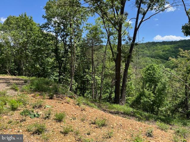 BLUFFS OF THE POTOMAC - Land