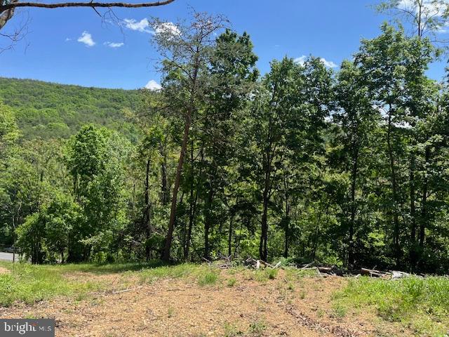 BLUFFS OF THE POTOMAC - Land