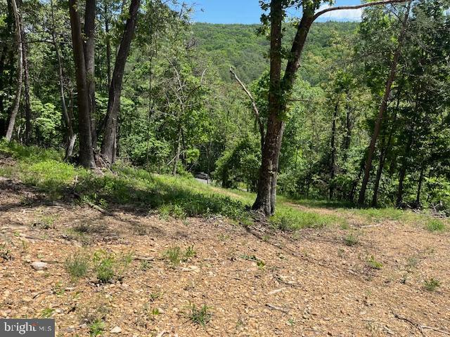 BLUFFS OF THE POTOMAC - Land