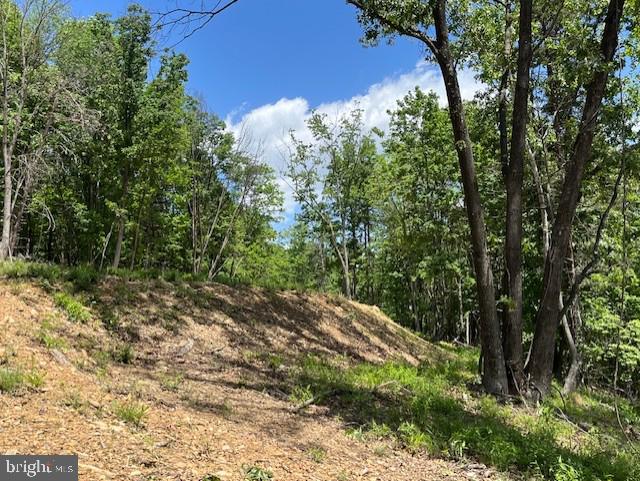 BLUFFS OF THE POTOMAC - Land