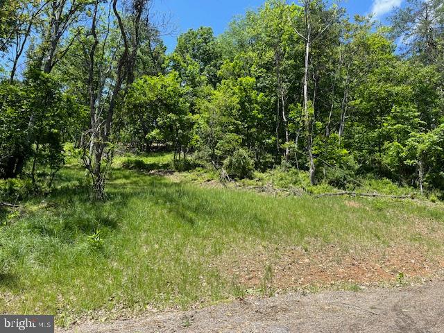 BLUFFS OF THE POTOMAC - Land