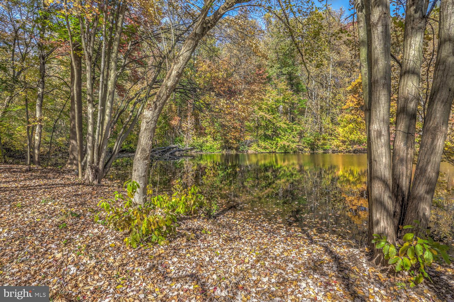 MARTIC TWP - Residential