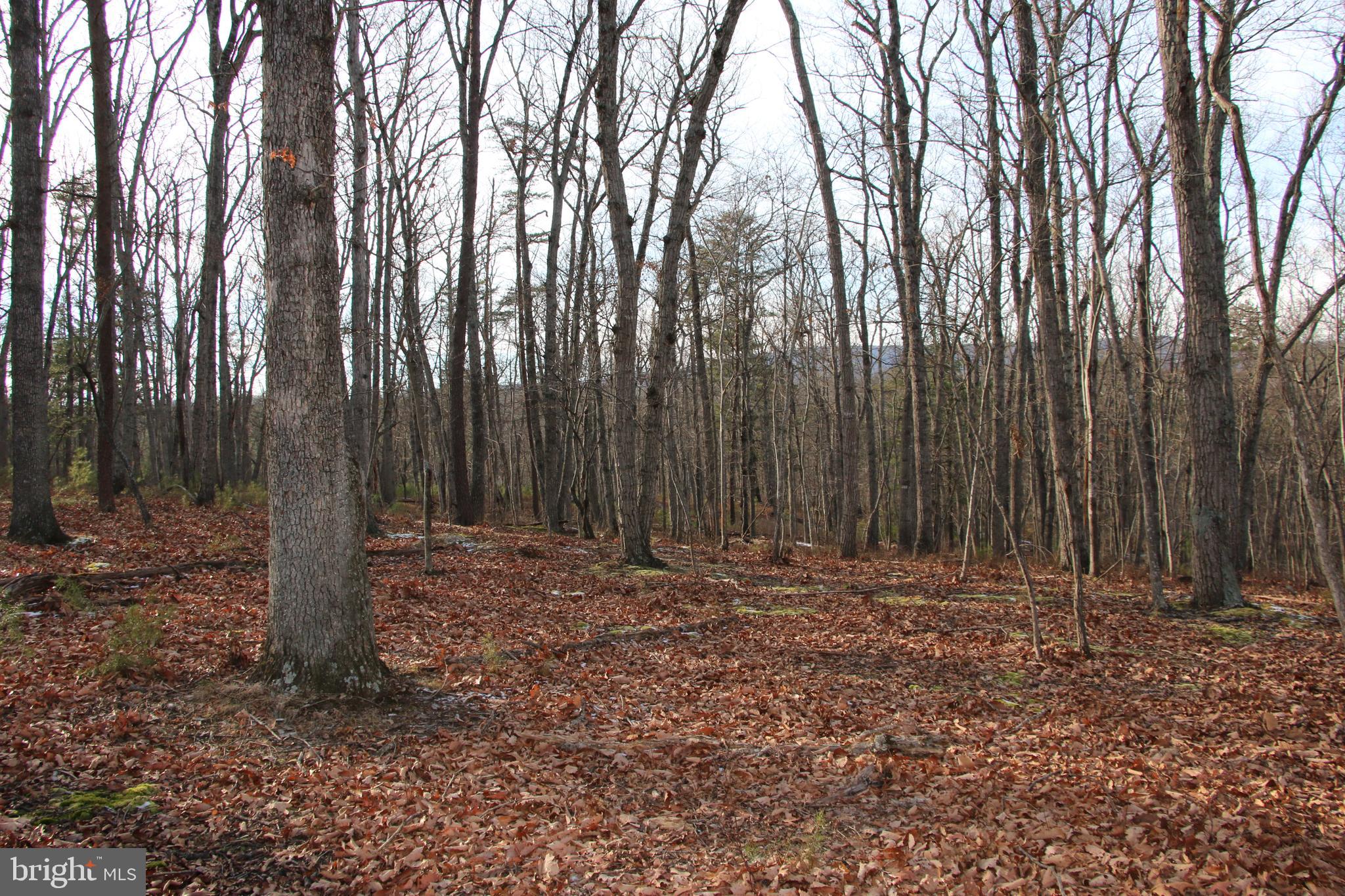 JOHN MARSHALL HIGHWAY