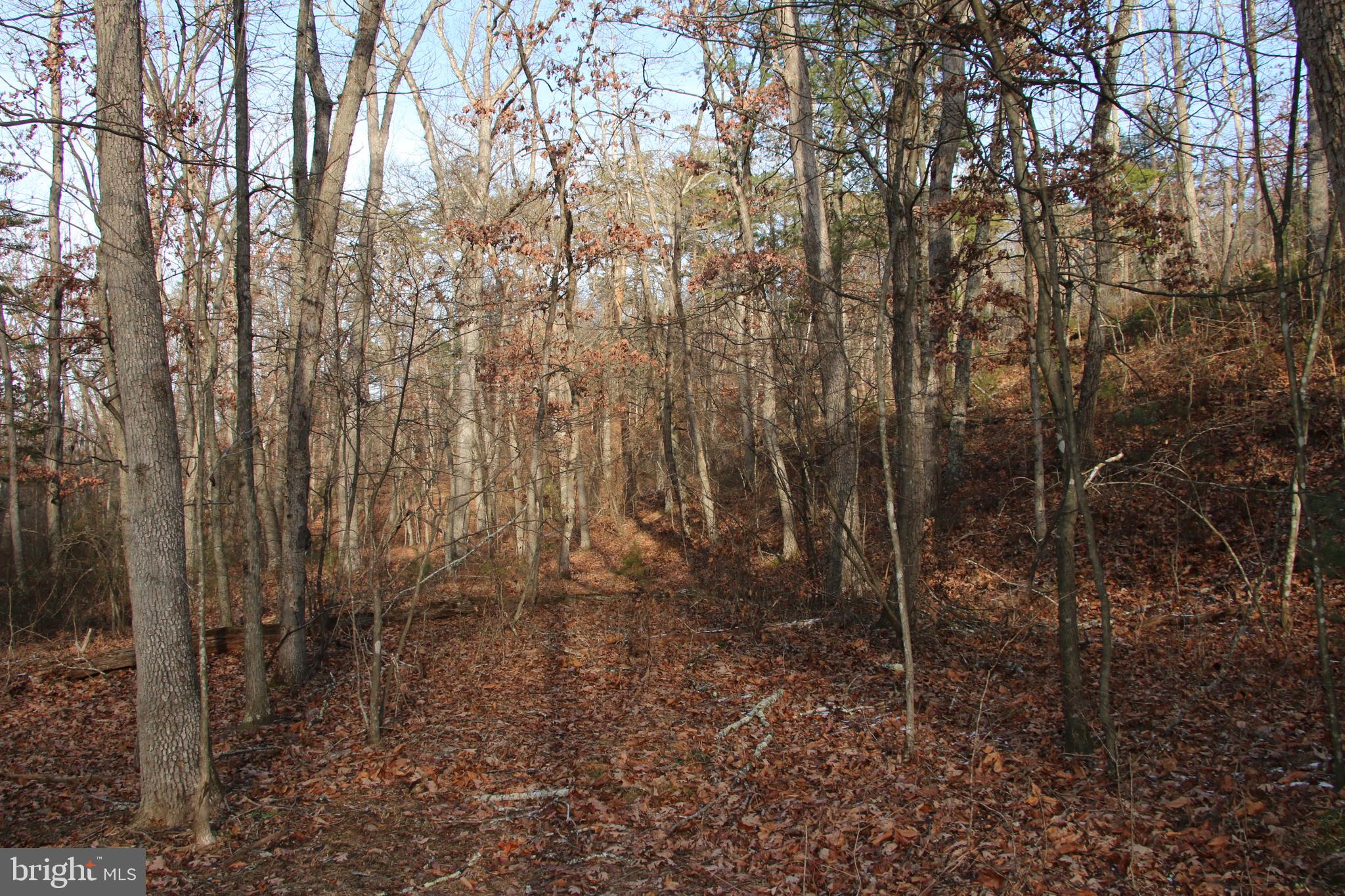 JOHN MARSHALL HIGHWAY