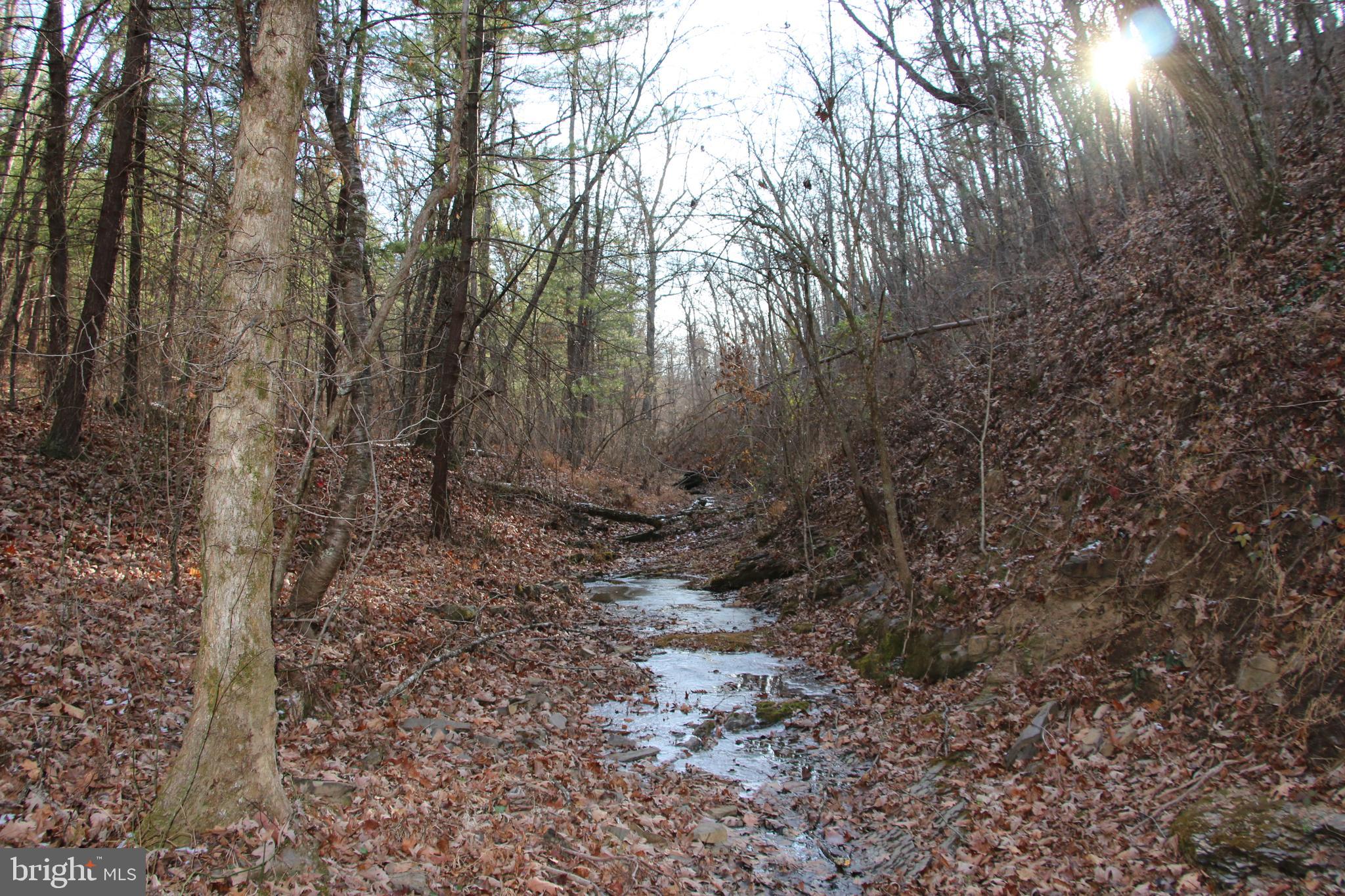 JOHN MARSHALL HIGHWAY