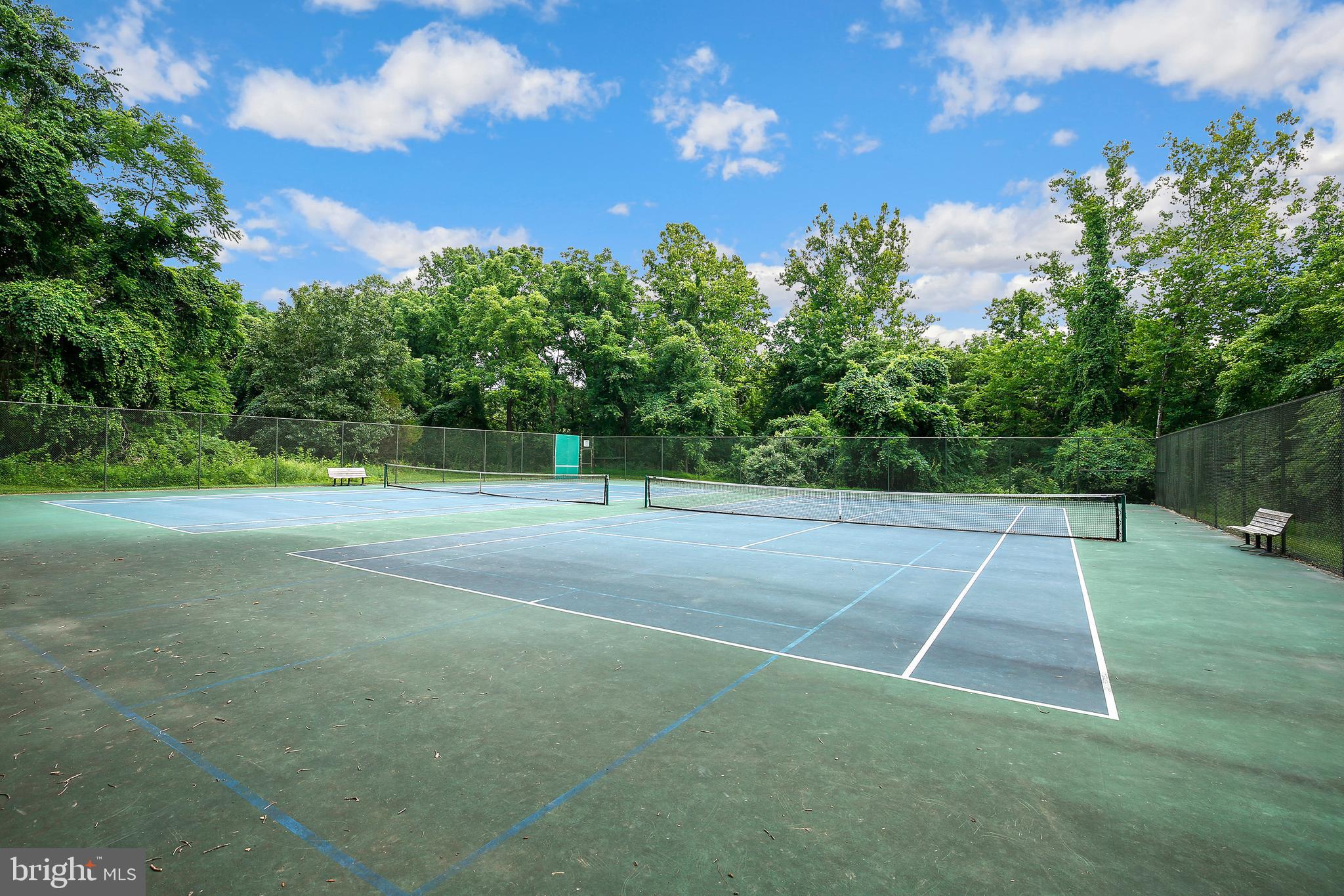 VISTAS AT WASHINGTONIAN WOODS - Residential
