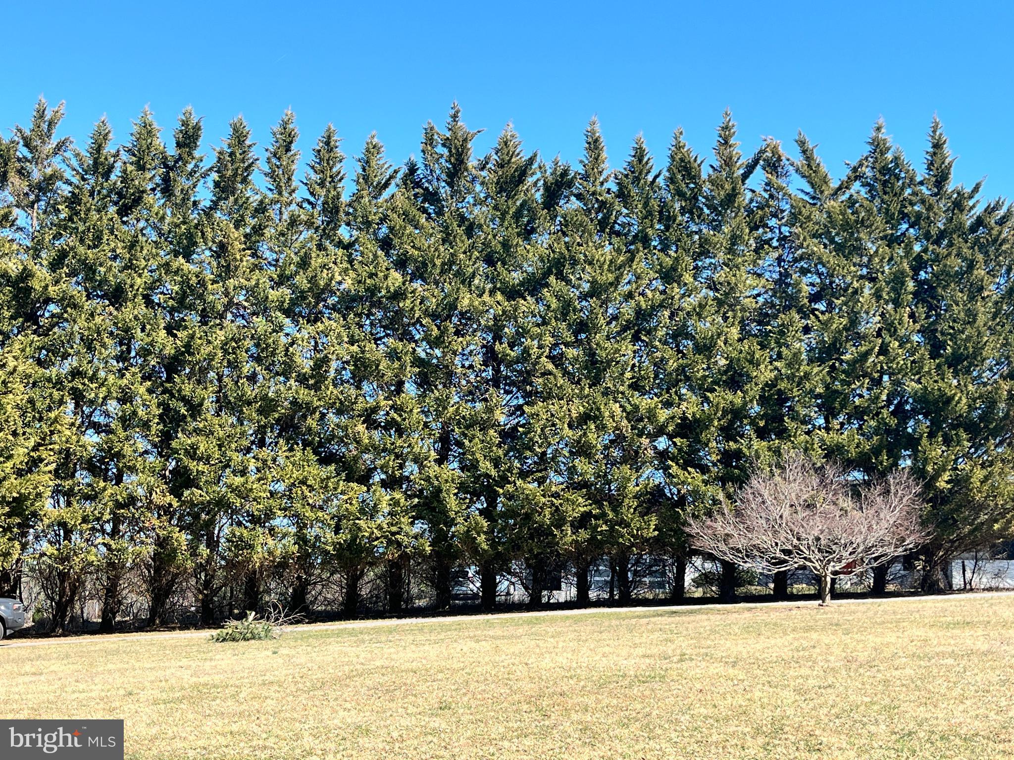 4407 BILL MOXLEY ROAD