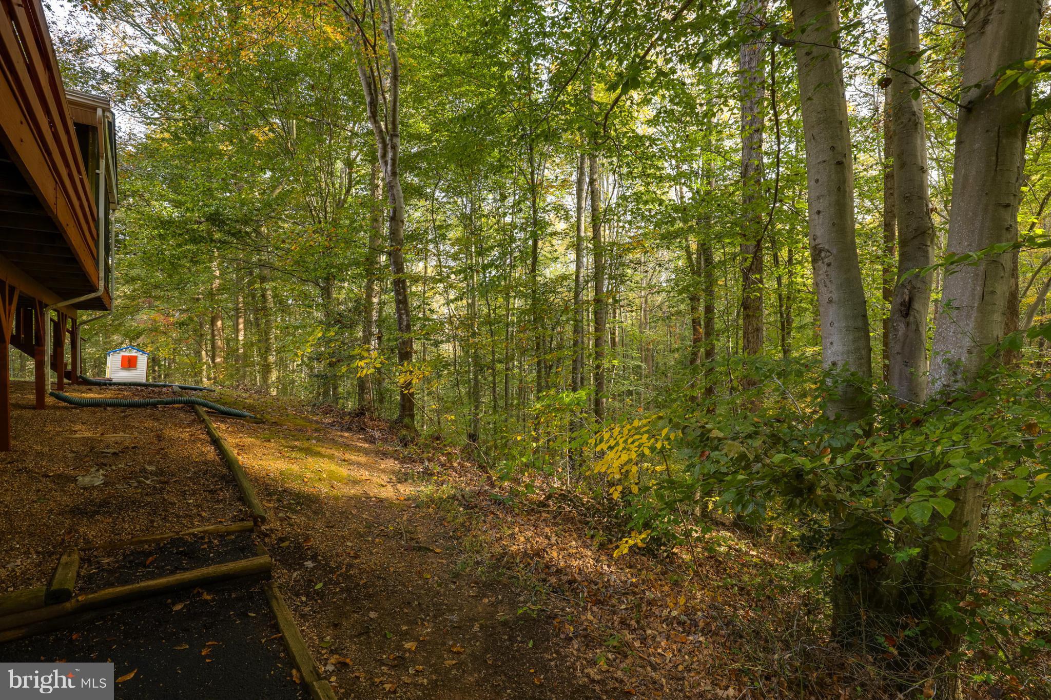 RAINTREE - Residential