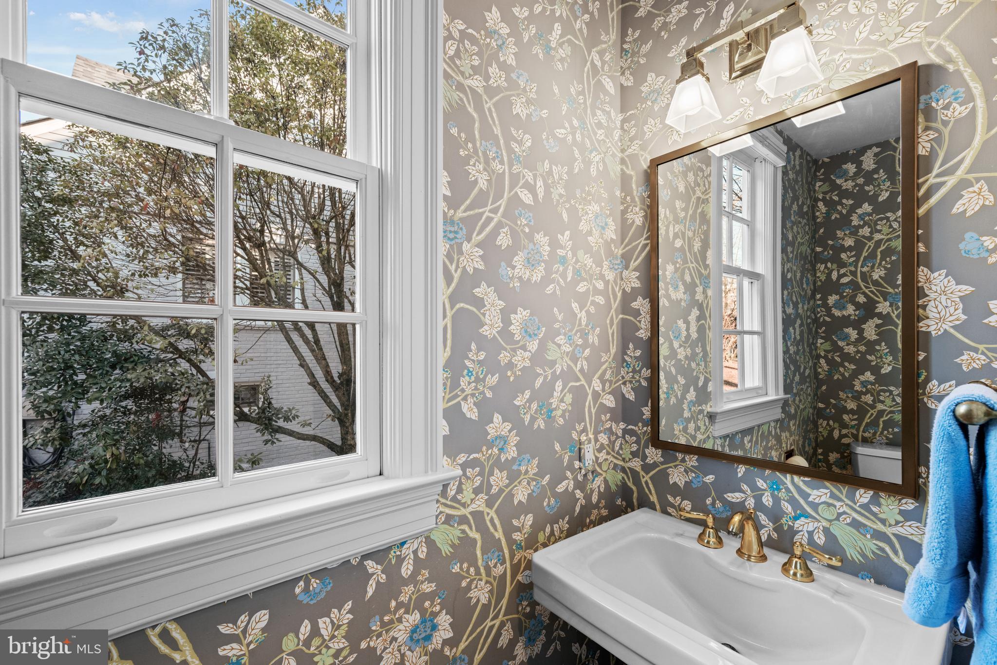 CHEVY CHASE VILLAGE - Residential