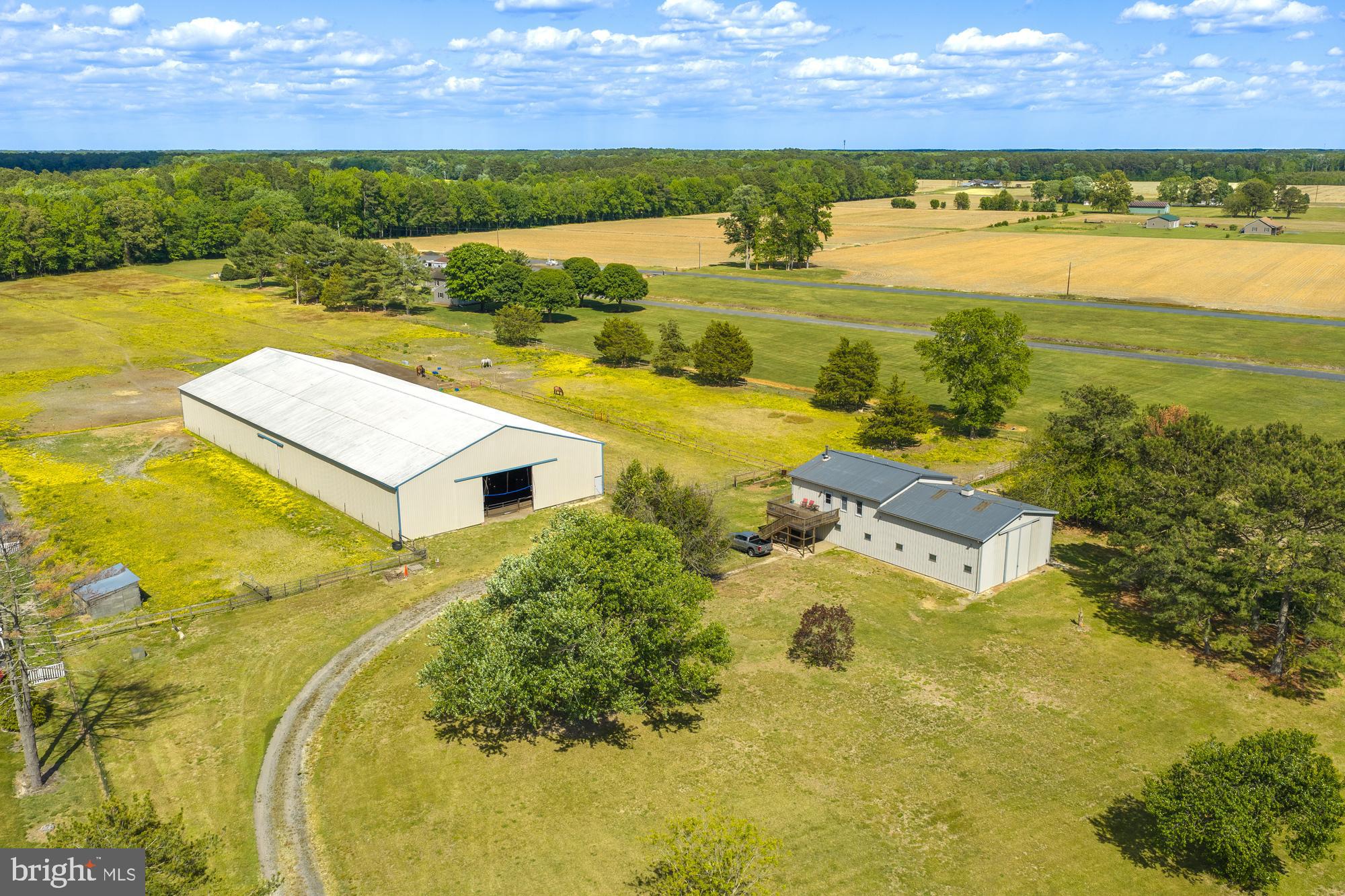 3599 PHILLIPS ROAD