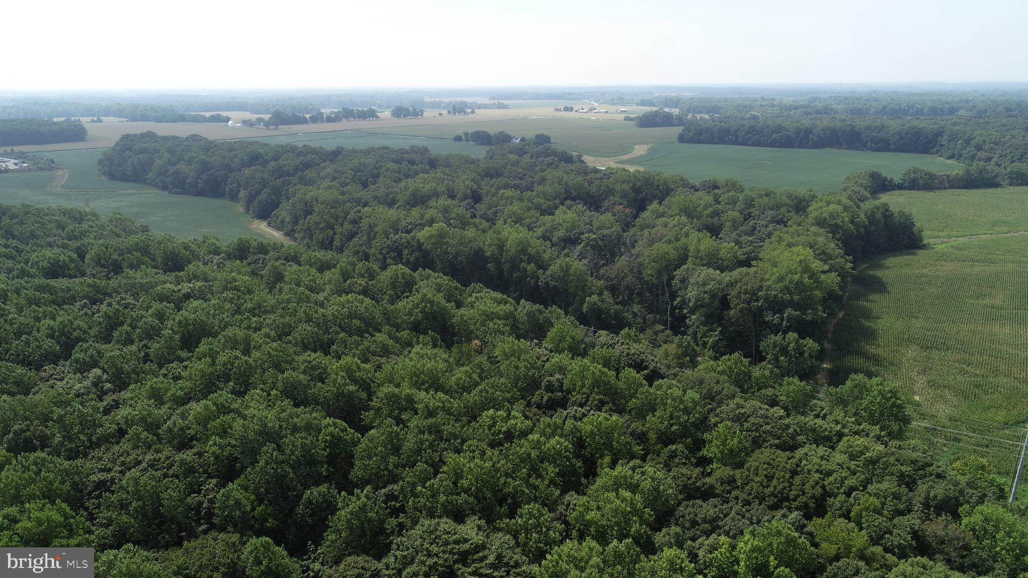 Queenstown, Maryland 13-acre wooded parcel located between US rt 50 and 301, with a rural setting, a mature canopy of hardwoods, and division potential. This new listing provides a wonderful opportunity to build your home in the country and create additional parcels. The woods are full of wildlife with turkey, deer, and a host of upland game. For the outdoors enthusiast, there is much to appreciate with this new offering located near Queenstown and Centreville in a truly rural setting. The property is improved by a 3,000-foot private drive from the county road and is located just 27 miles to Annapolis, 50 miles to Baltimore, and 56 miles to DC.