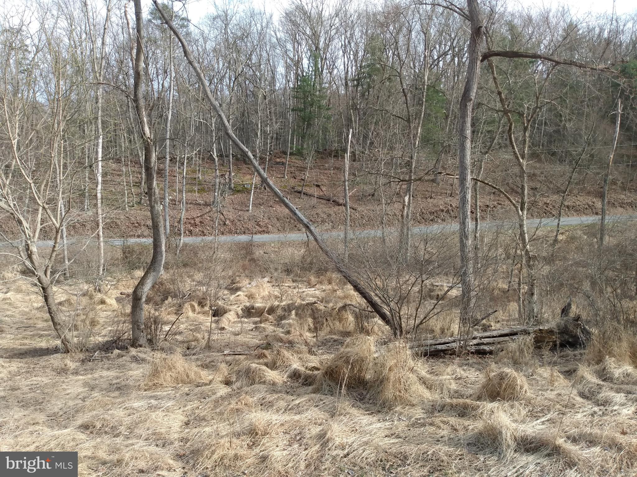 CACAPON RIVER RAPIDS - Land