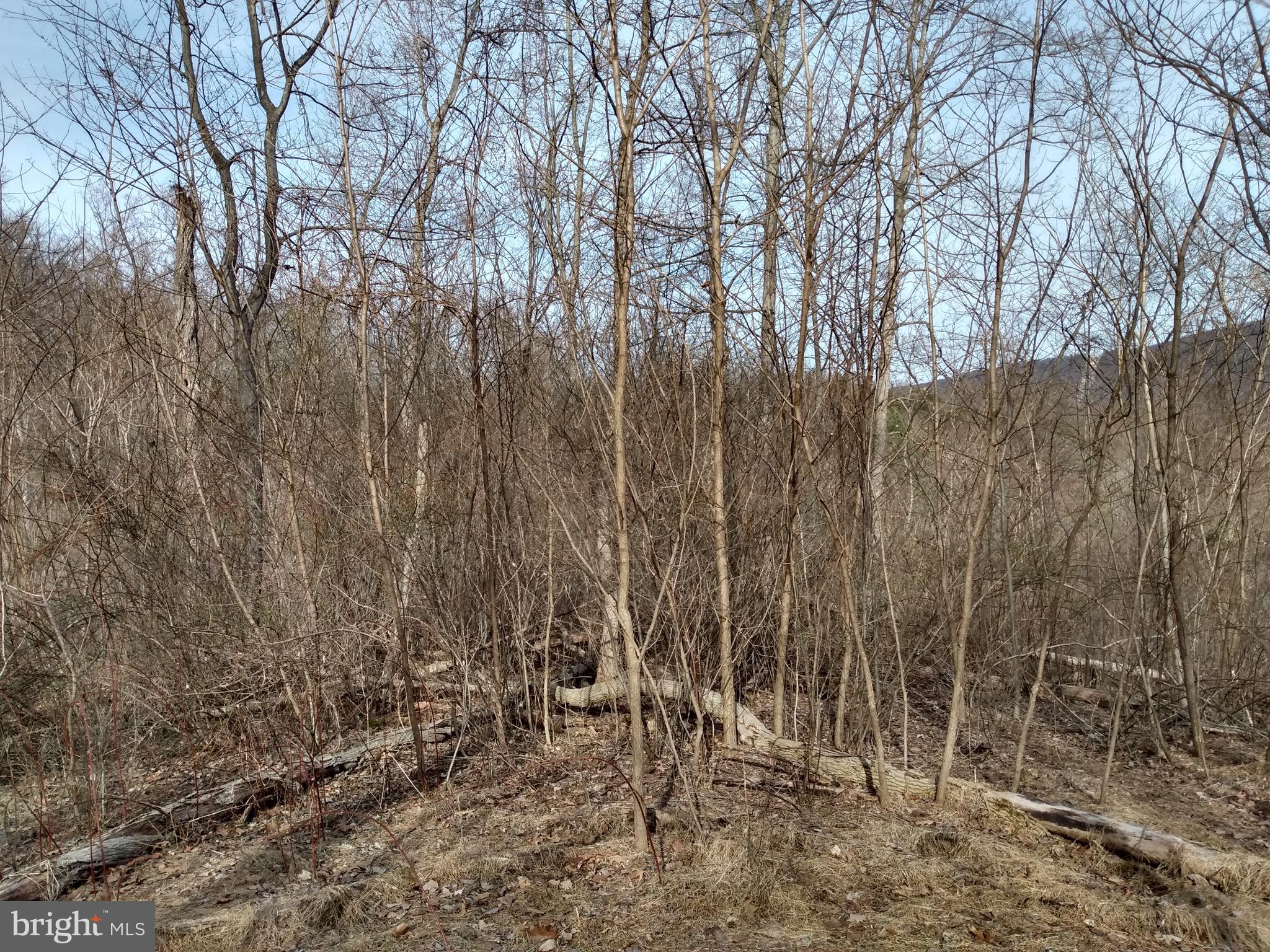 CACAPON RIVER RAPIDS - Land