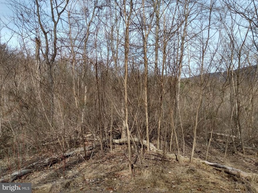 Gently sloping mountain land on a state maintained black top road, nice views from upper property, this property has been timbered but is a haven for Deer, Turkey, Grouse and Bear, a sportsman's paradise and a few excellent flats for building your mountain get-a-way or full-term residence. Cacapon River access nearby for all those water activities. Call Today.