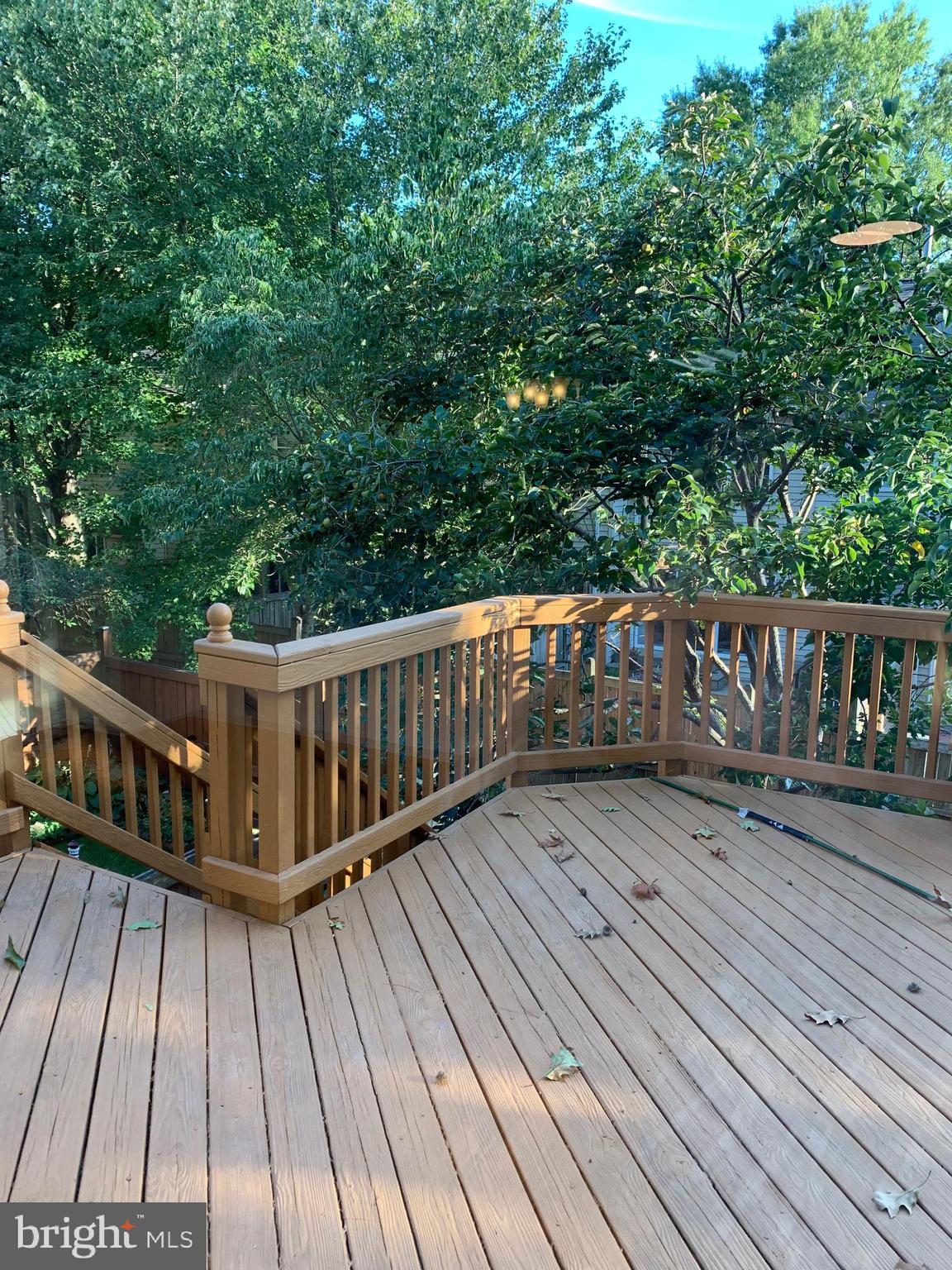 CENTREVILLE GREEN - Residential Lease