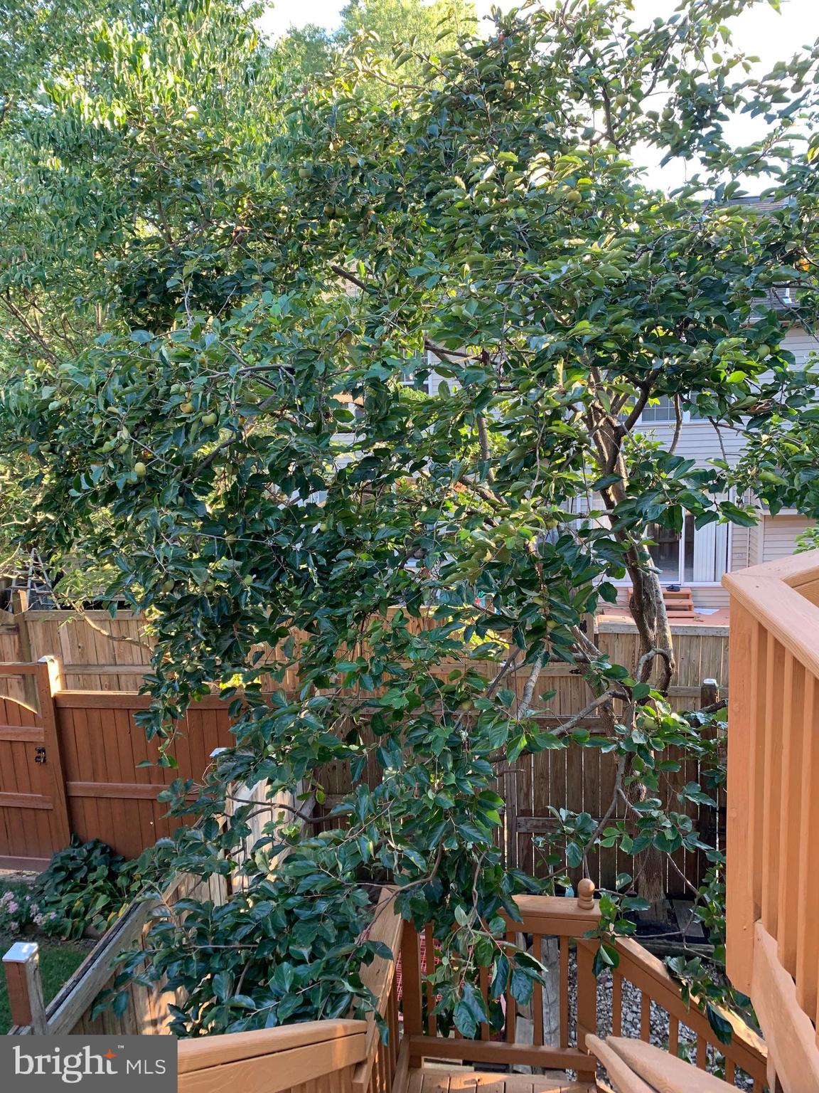 CENTREVILLE GREEN - Residential Lease