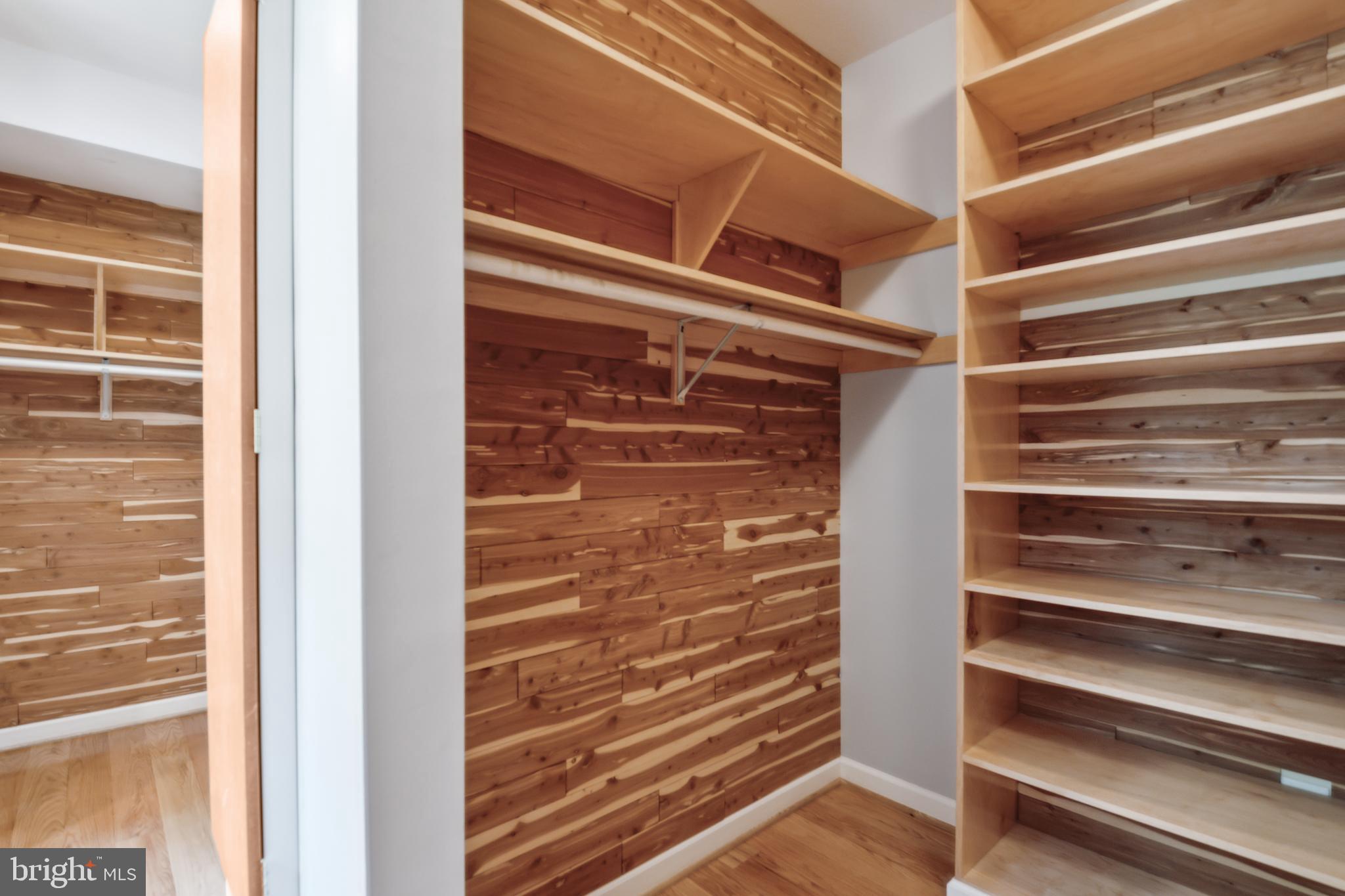 TRIADELPHIA WOODS - Residential