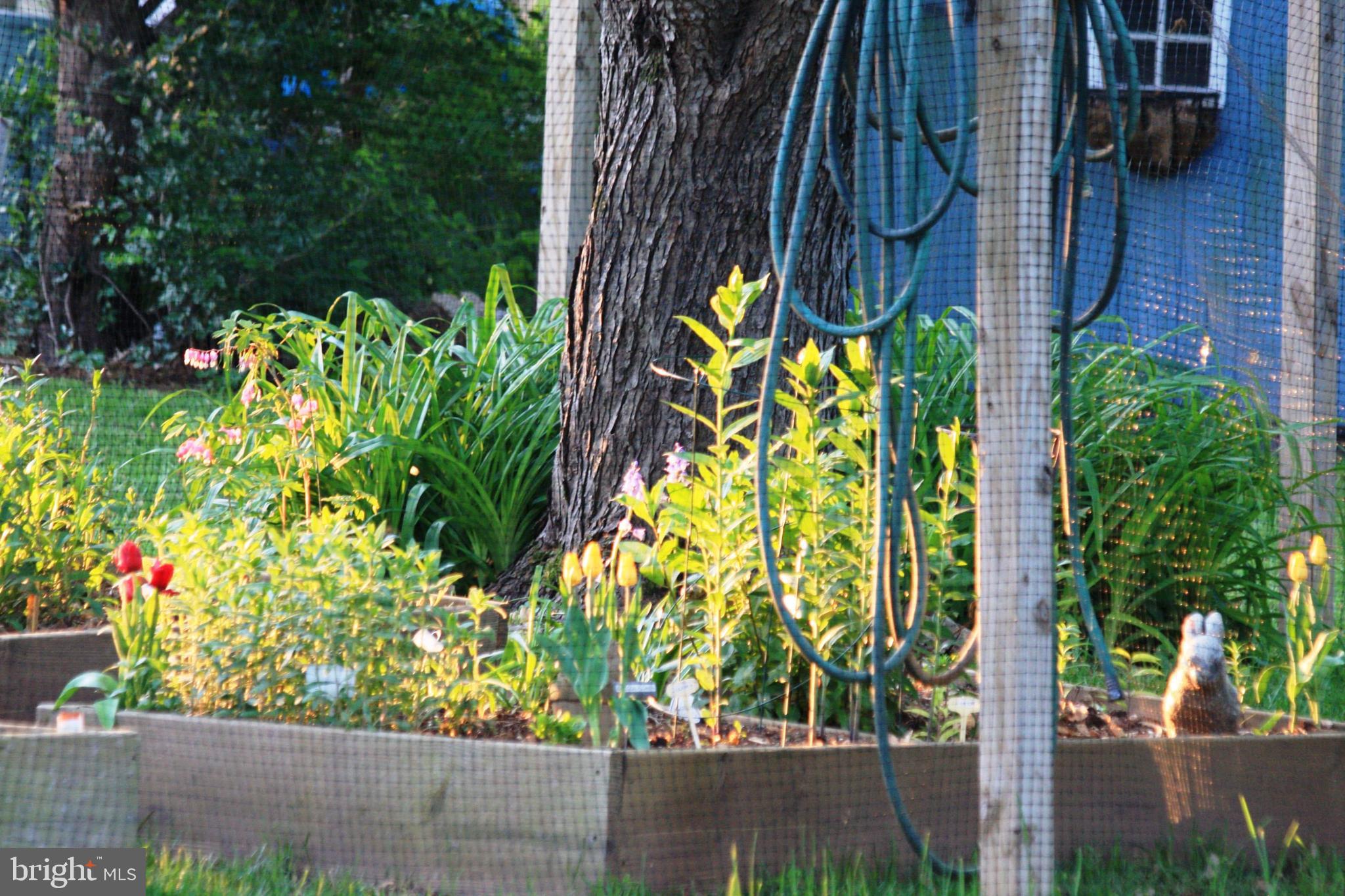 GREAT FALLS FOREST - Residential