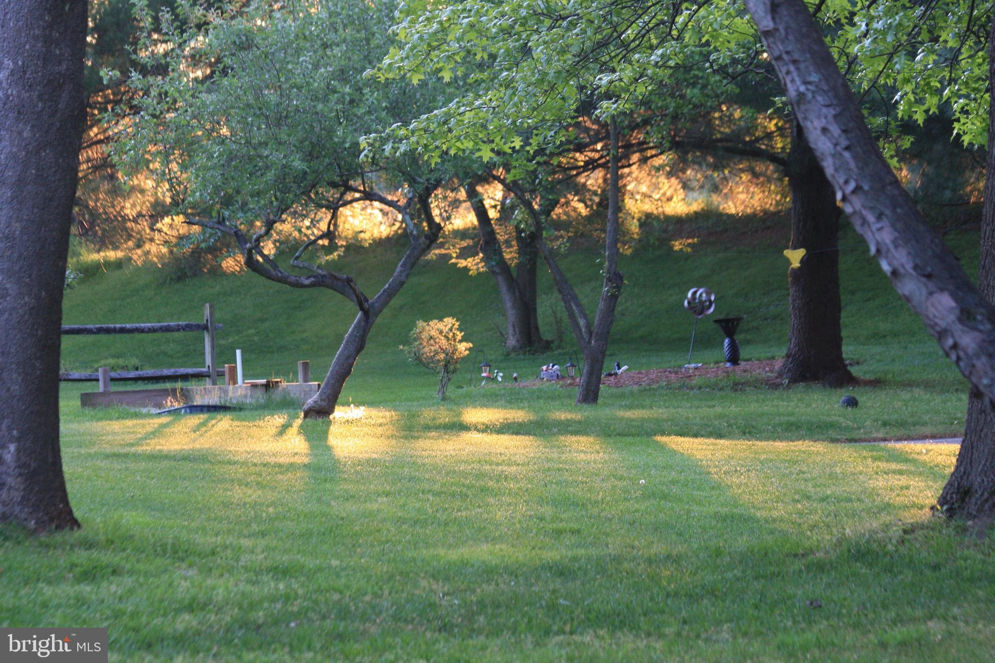 GREAT FALLS FOREST - Residential