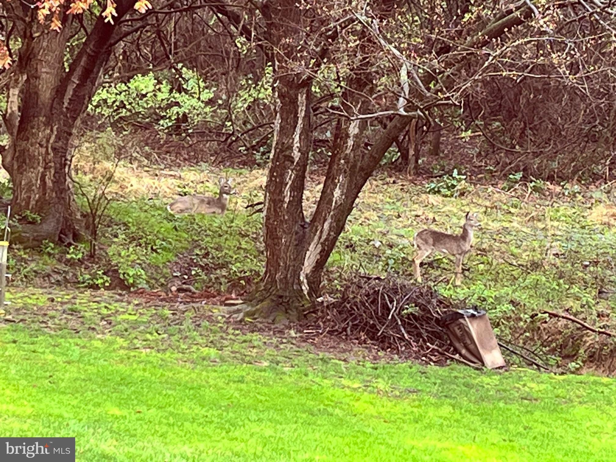 GREAT FALLS FOREST - Residential