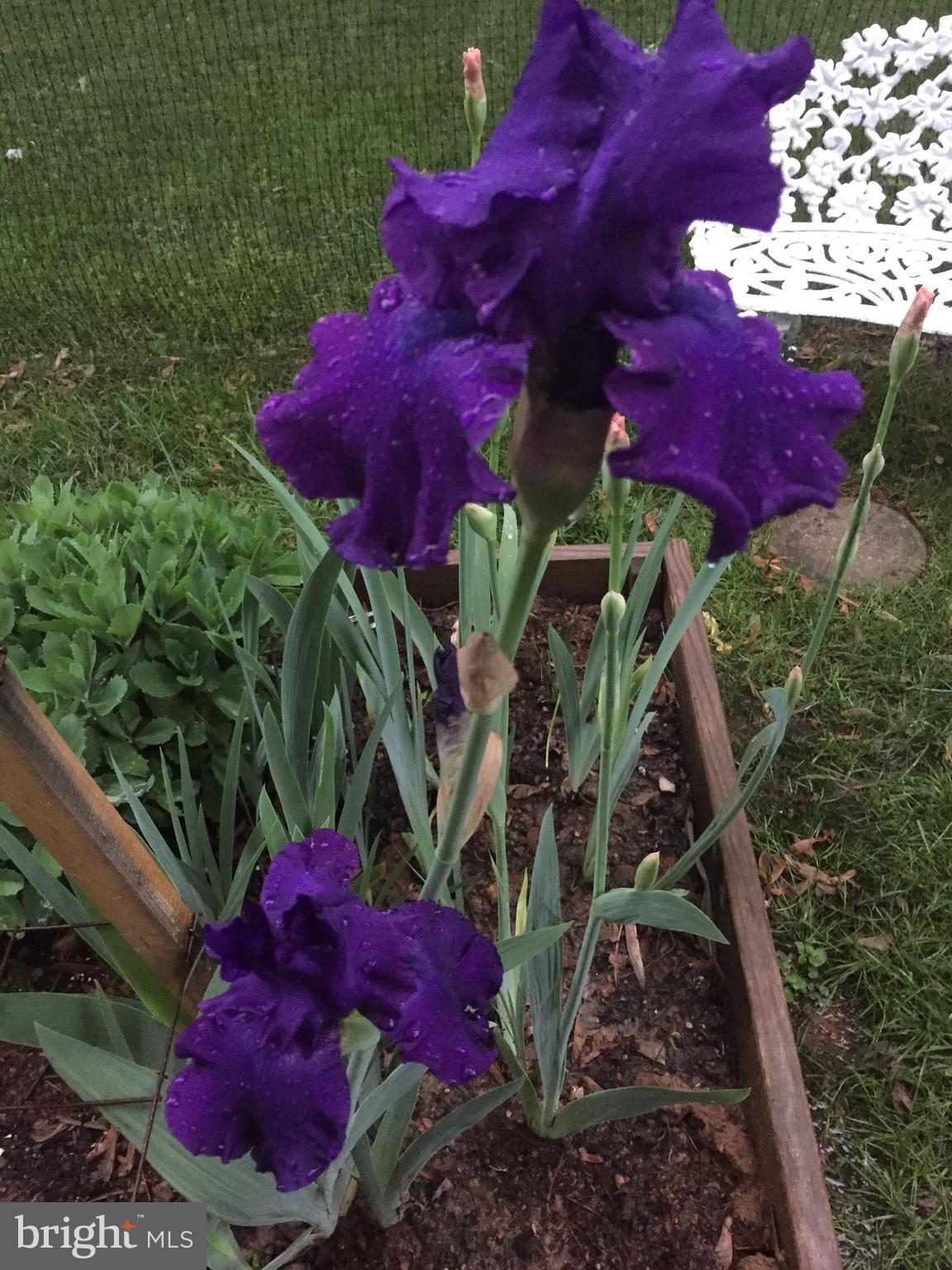 GREAT FALLS FOREST - Residential