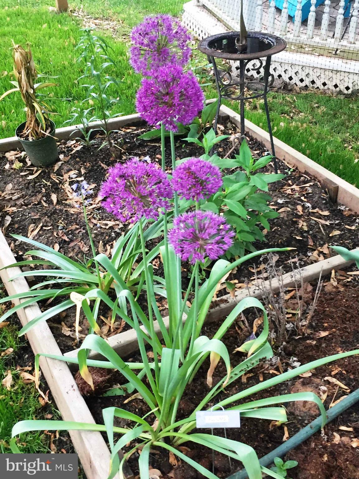 GREAT FALLS FOREST - Residential