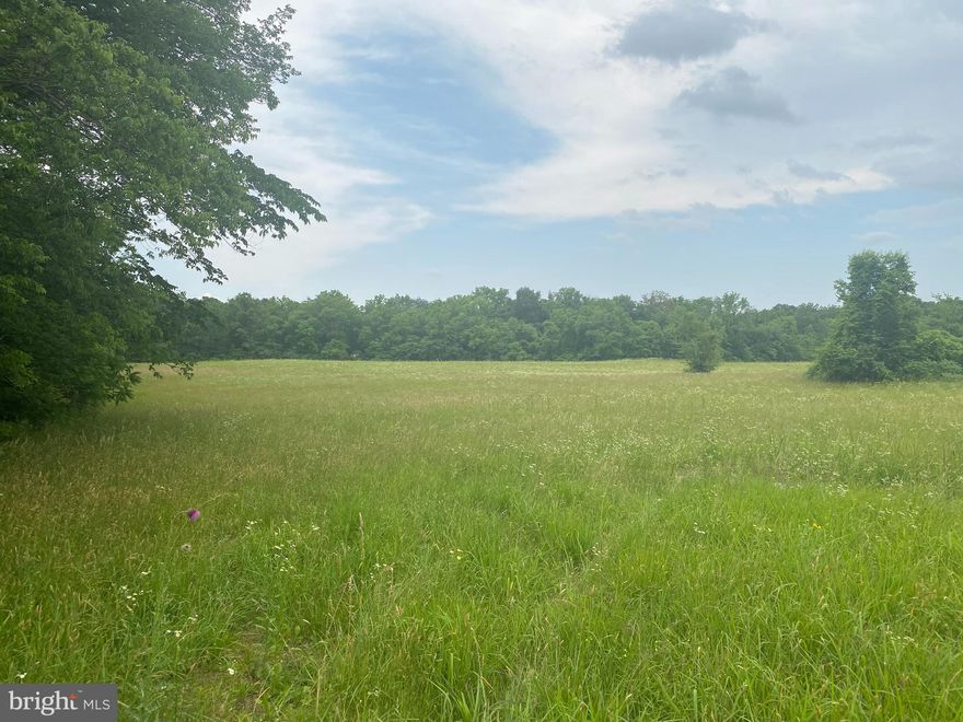 Experience the best of rural Fauquier County with this 13‑acre parcel located minutes from Midland, Bealeton, and Warrenton. With convenient access from paved county roads and close proximity to the Warrenton–Fauquier airport, this lot is perfect for a private estate, hobby farm, or secluded retreat with a natural spring. Easement already in place for direct access to the lot.