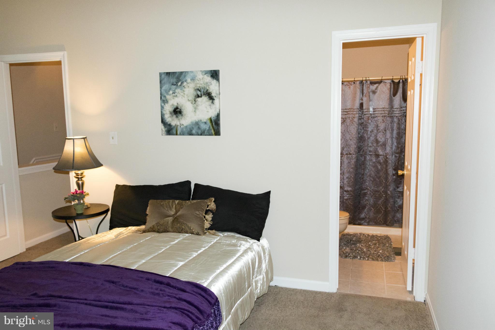 ELLICOTT MEADOWS - Residential