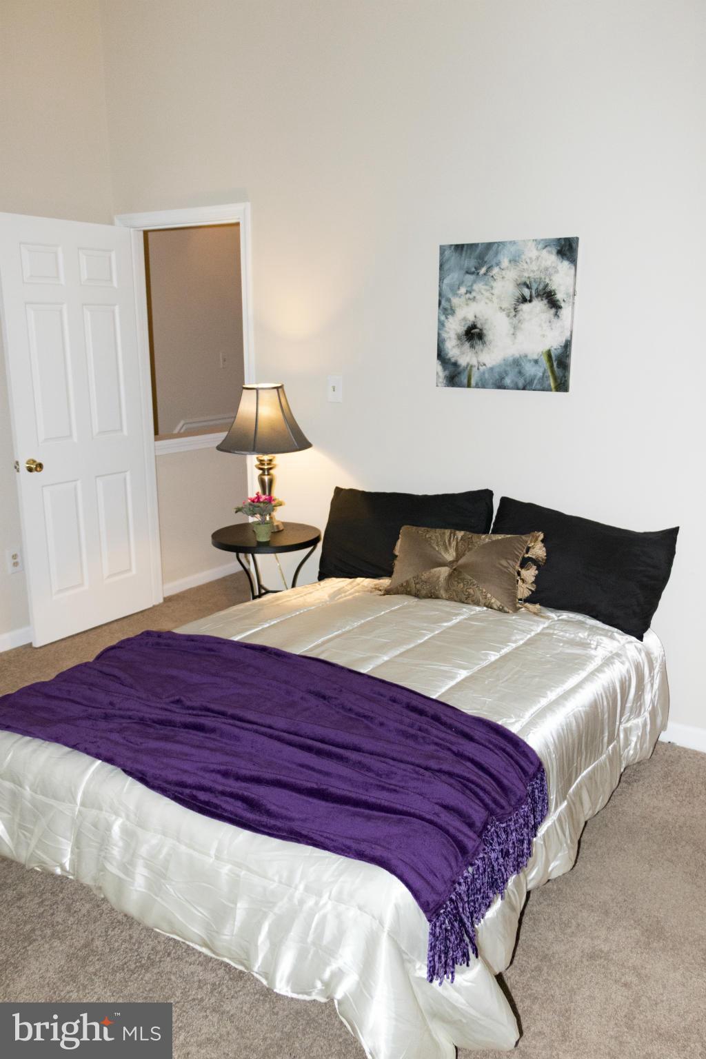 ELLICOTT MEADOWS - Residential