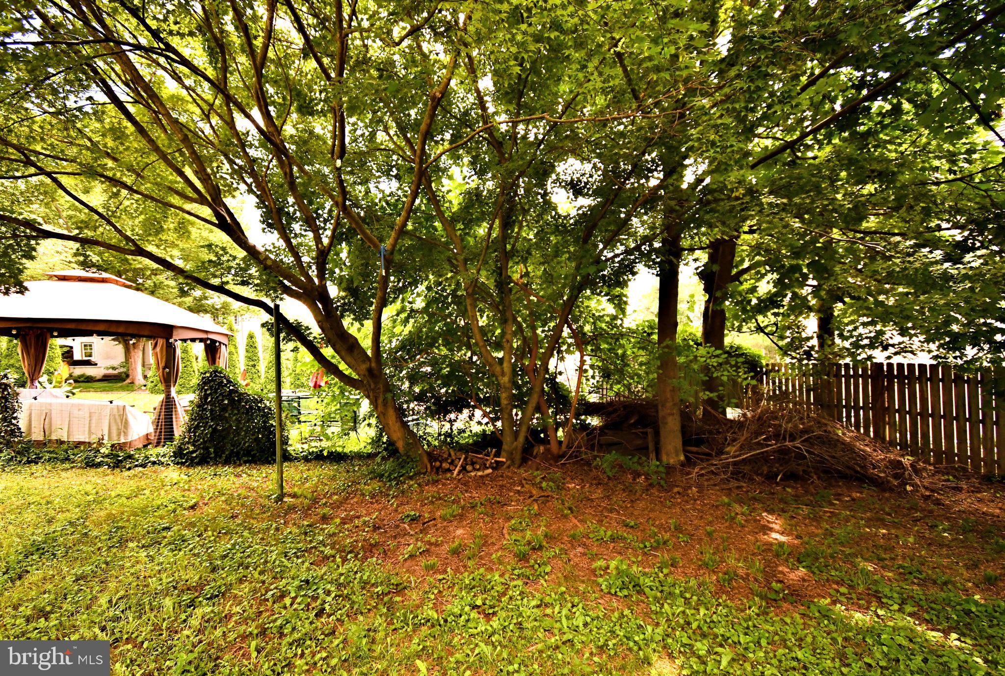 DOYLESTOWN BORO - Residential