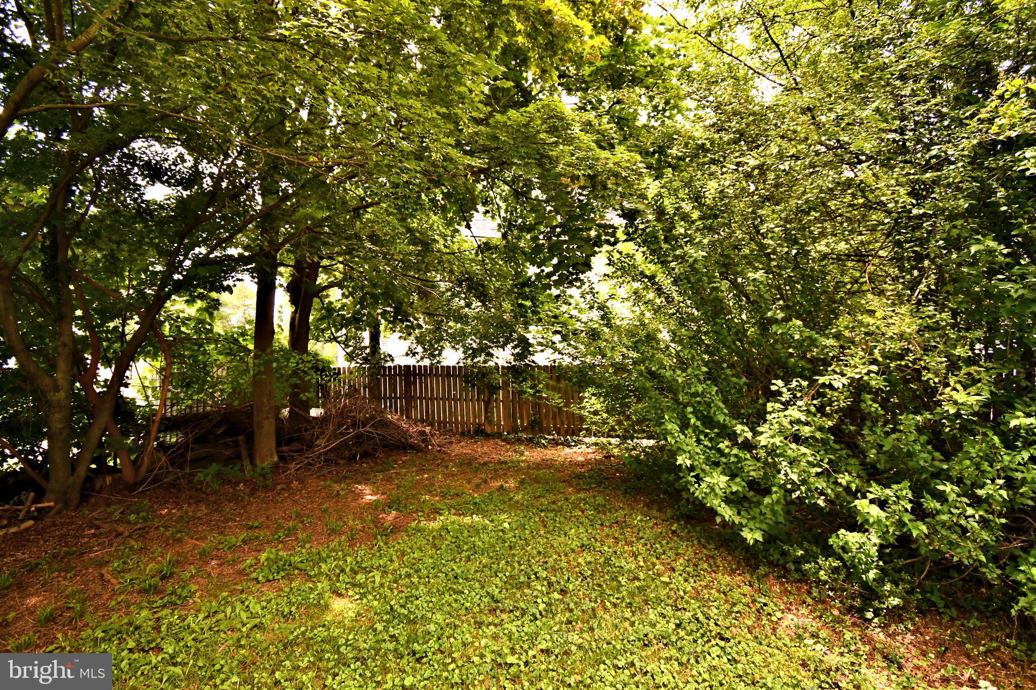 DOYLESTOWN BORO - Residential