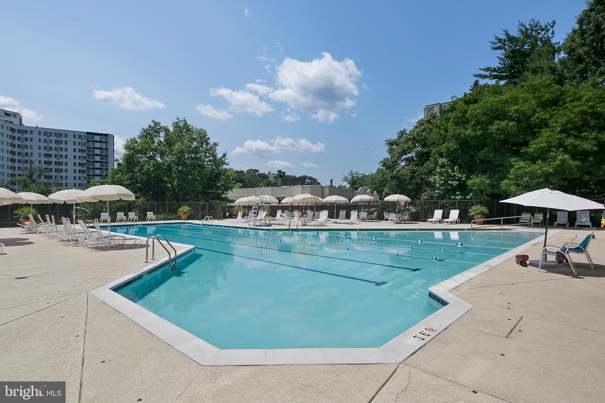 THE BELVEDERE CONDOMINIUM - Residential