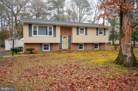 8331 AVALON BOULEVARD SALISBURY MD 21804