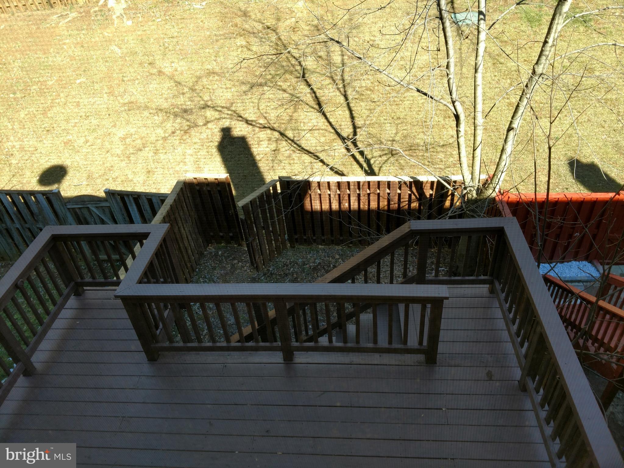 MONTCLAIR ST1 - Residential Lease