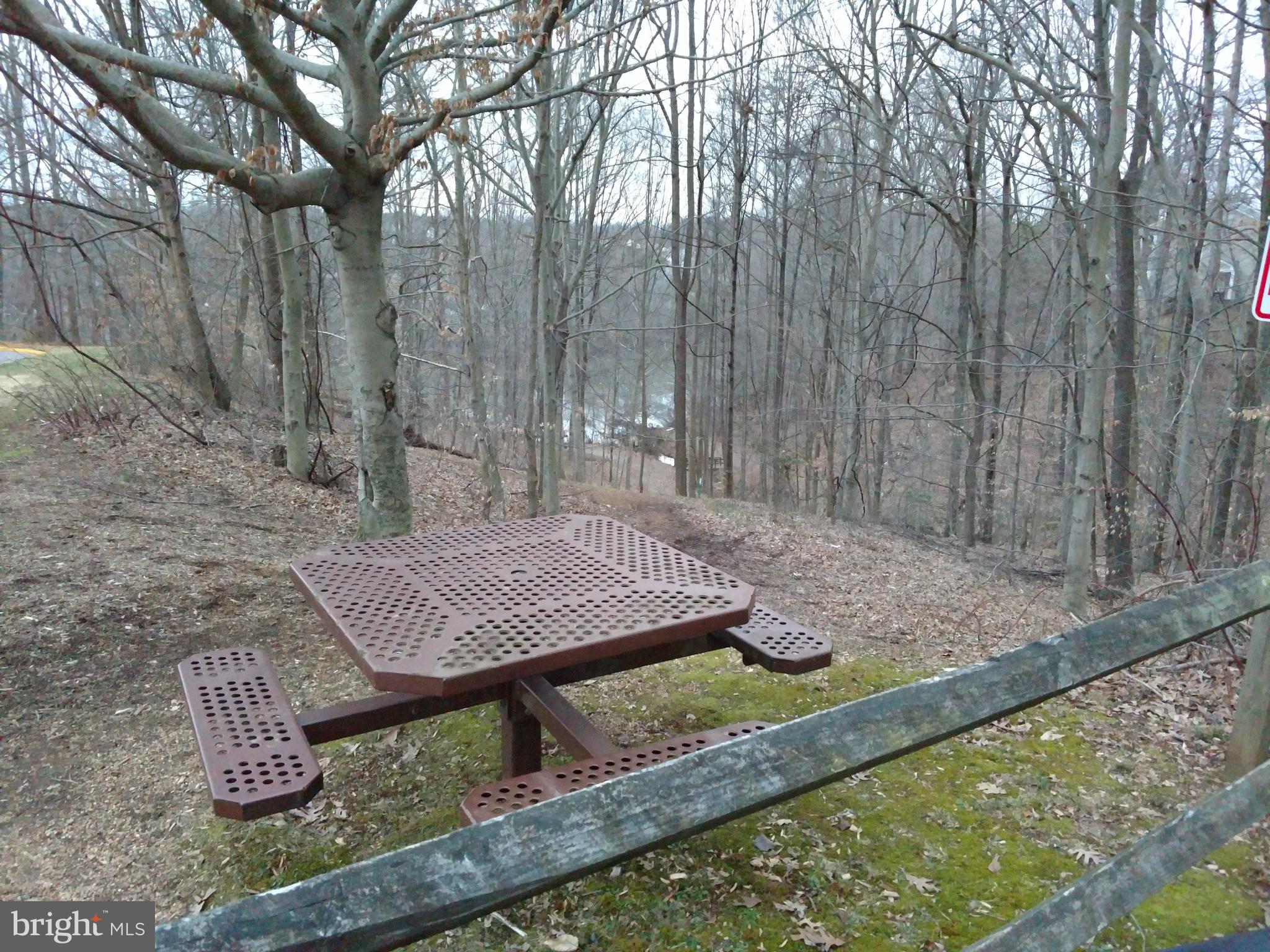 MONTCLAIR ST1 - Residential Lease