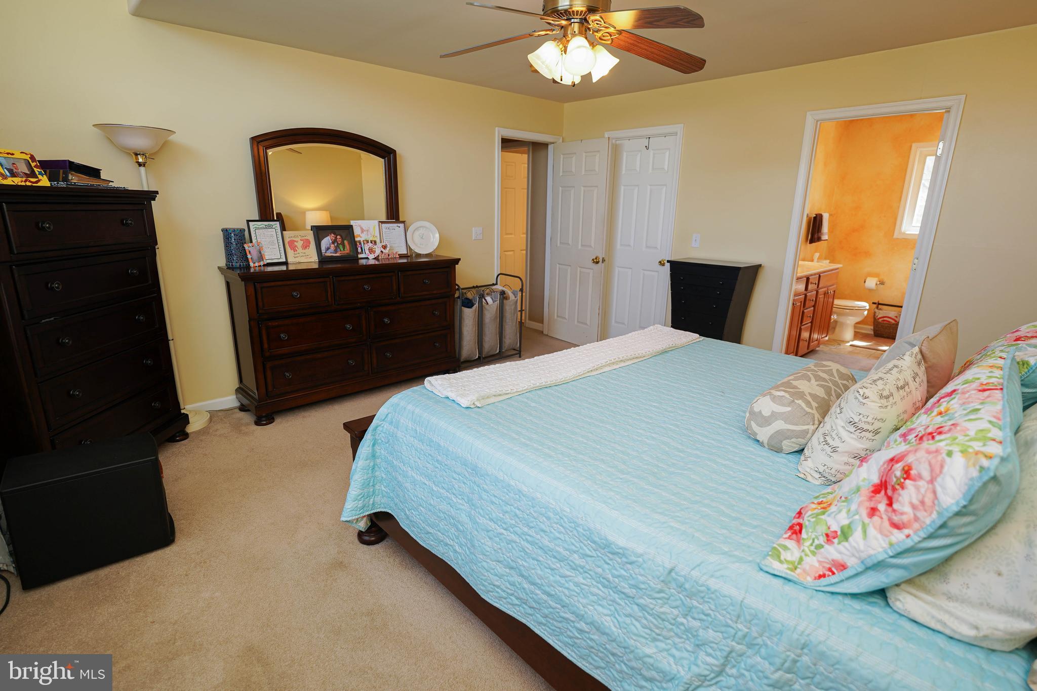 MOCKING BIRD - Residential