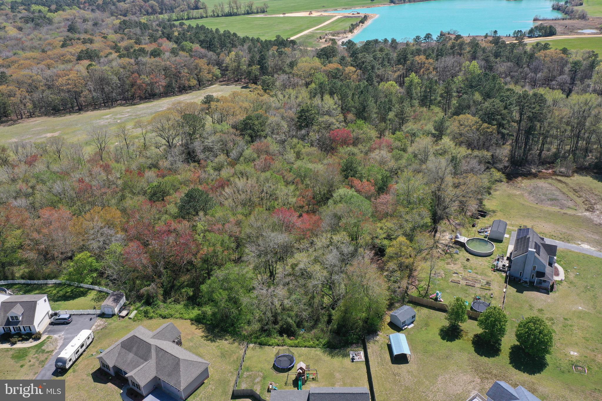 MOCKING BIRD - Residential