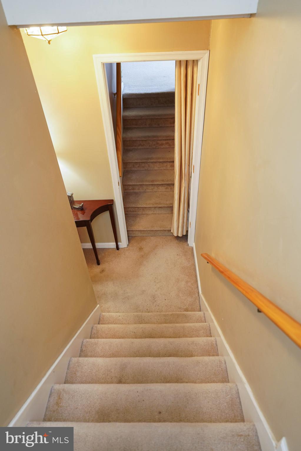 MOCKING BIRD - Residential